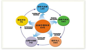 企業(yè)管理專業(yè)的區(qū)別